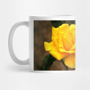 A Kiss From A Rose Mug